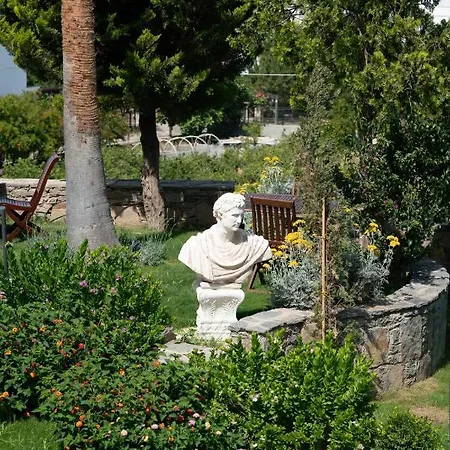 Elementa Boutique - Adults Friendly